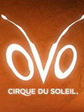 Cirque du Soleil - Ovo