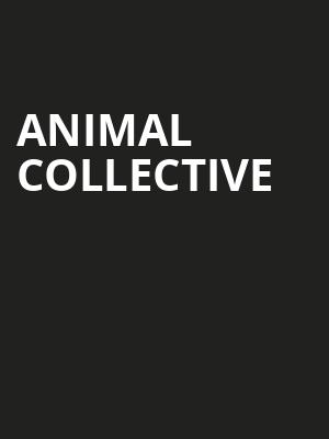 Animal Collective, Flames Central, Calgary