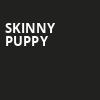Skinny Puppy, Grey Eagle Resort Casino, Calgary